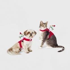 Snowman Rider Dog and Cat Costume - Wondershop™ 9 Snowman Rider Dog and Cat Costume - Wondershop™ -Wondershop Sales unnamed file 1027