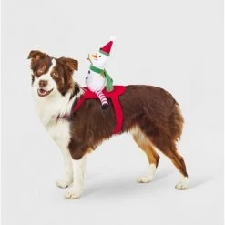 Snowman Rider Dog and Cat Costume - Wondershop™ 10 Snowman Rider Dog and Cat Costume - Wondershop™ -Wondershop Sales unnamed file 1028