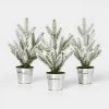 3pc Flocked Mini Tree in Galvanized Metal Bucket Silver - Wondershop™