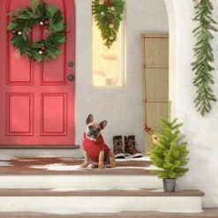 Green Goods Collection - Wondershop™