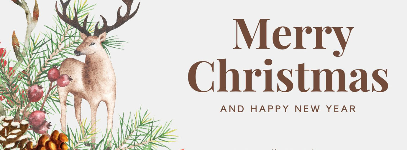 Wondershop Sales 9 Wondershop Sales -Wondershop Sales 158